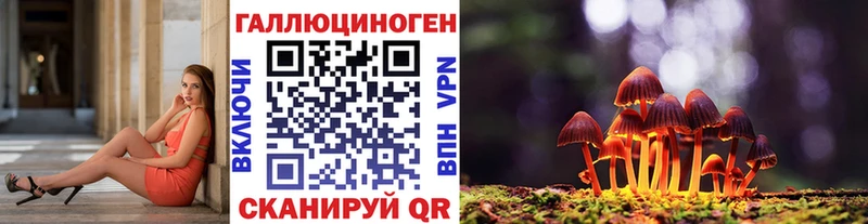 кракен зеркало  Обоянь  Галлюциногенные грибы Psilocybe 